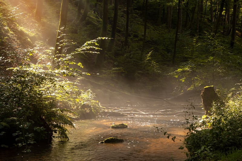 Intuitive Flow